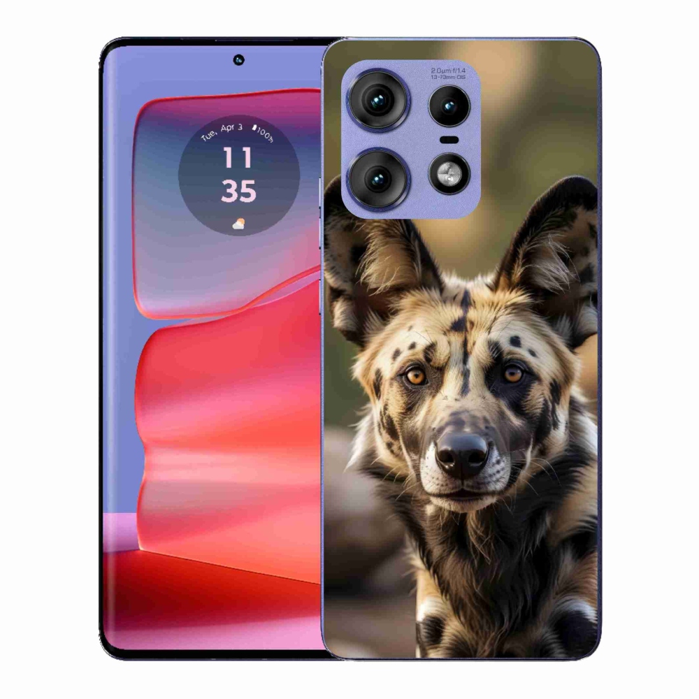 Gelový kryt mmCase na Motorola Edge 50 Pro - africký divoký pes