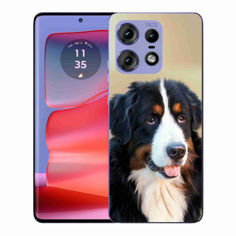 Gelový kryt mmCase na Motorola Edge 50 Pro - bernský salašnický pes