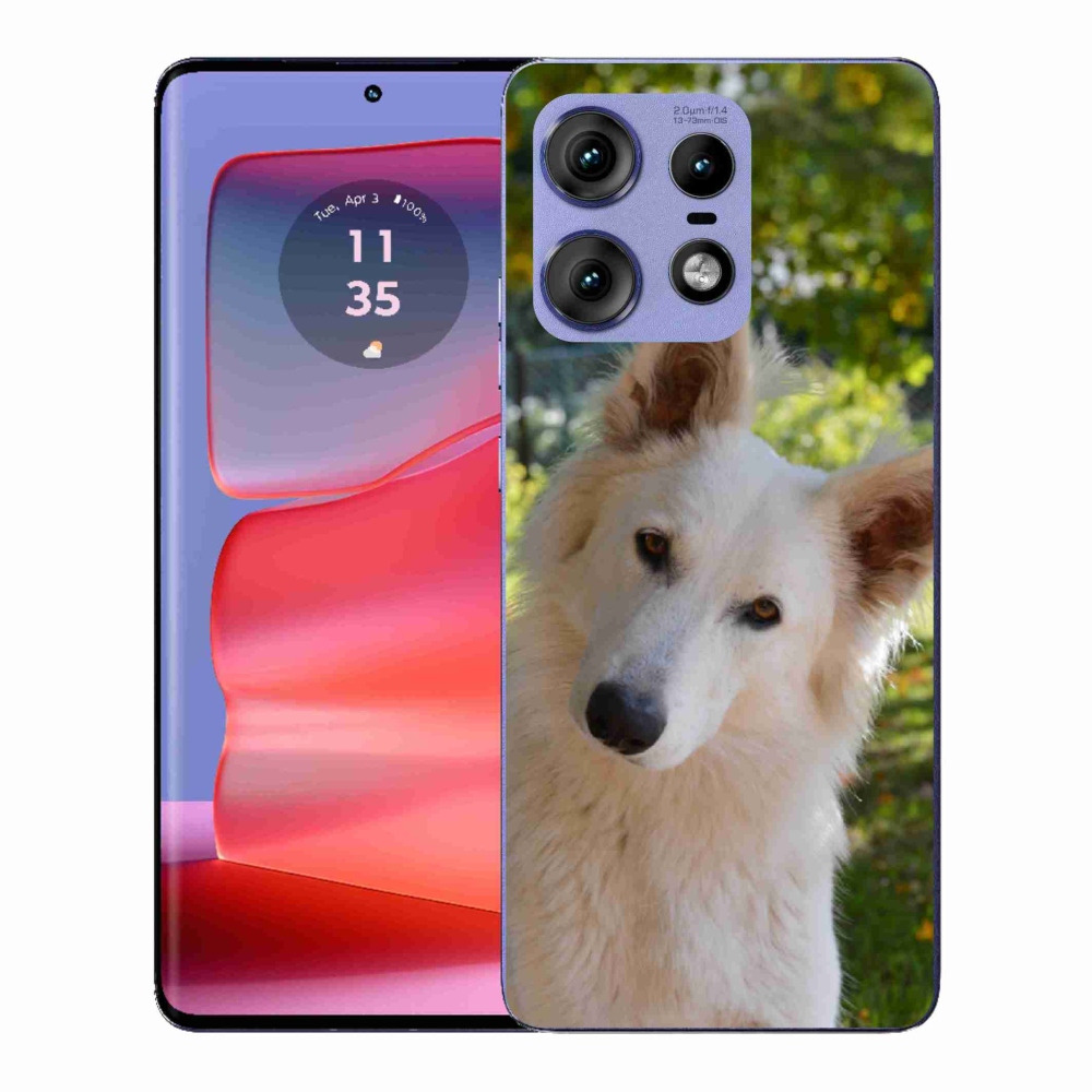 Gelový kryt mmCase na Motorola Edge 50 Pro - bílý švýcarský ovčák 1
