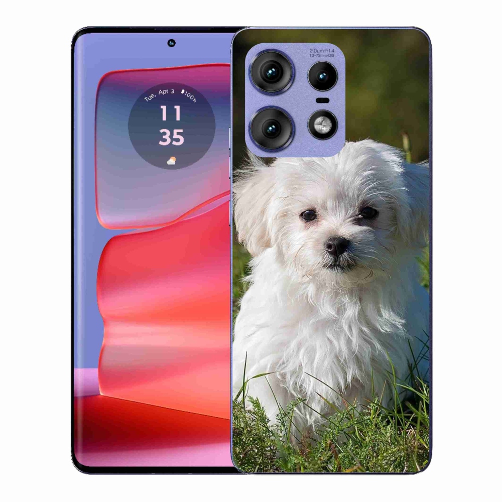 Gelový kryt mmCase na Motorola Edge 50 Pro - bišonek