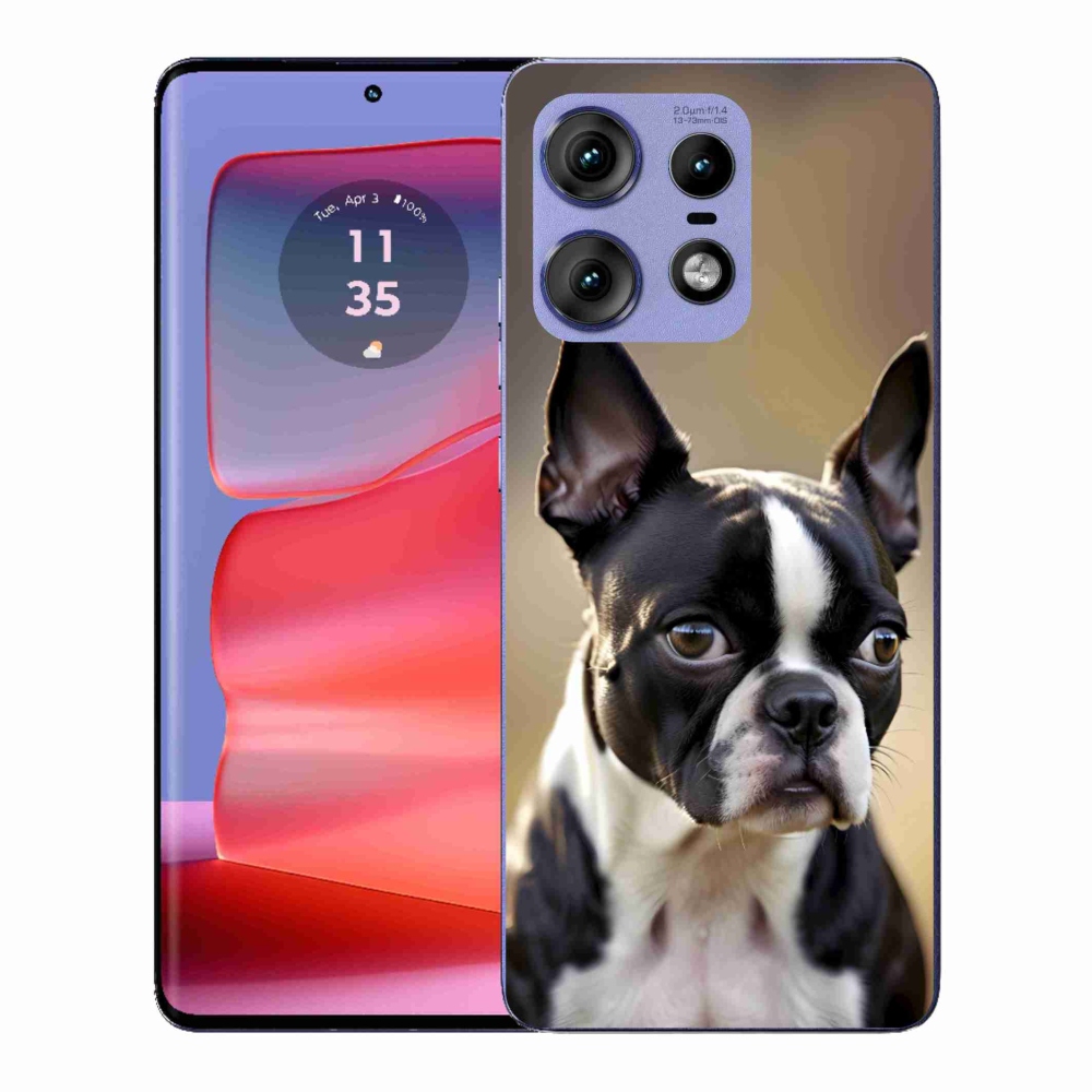 Gelový kryt mmCase na Motorola Edge 50 Pro - bostonský teriér
