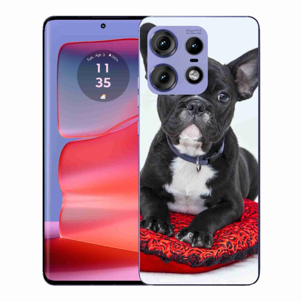 Gelový kryt mmCase na Motorola Edge 50 Pro - buldok