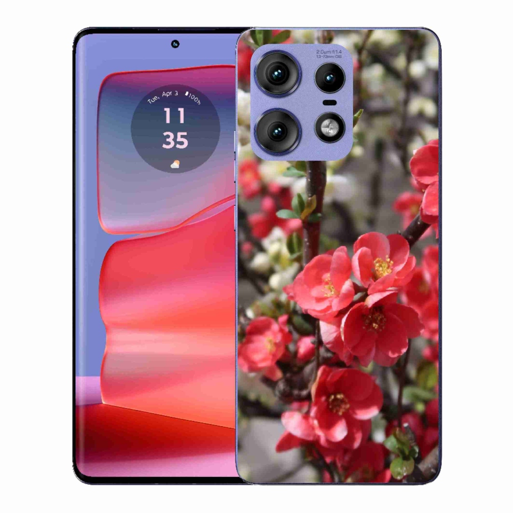 Gelový kryt mmCase na Motorola Edge 50 Pro - červené květy