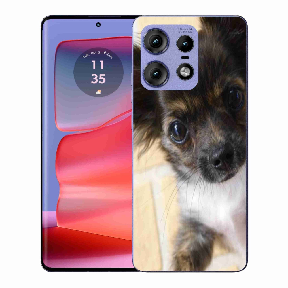 Gelový kryt mmCase na Motorola Edge 50 Pro - čivava 2