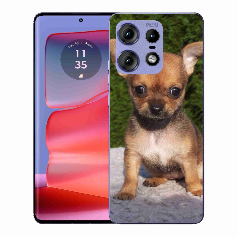 Gelový kryt mmCase na Motorola Edge 50 Pro - čivava 3
