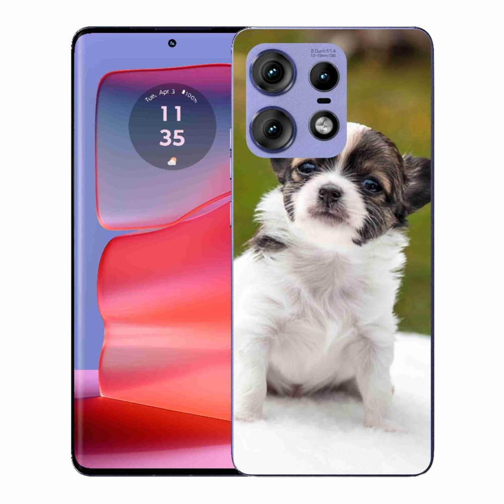 Gelový kryt mmCase na Motorola Edge 50 Pro - čivava 4
