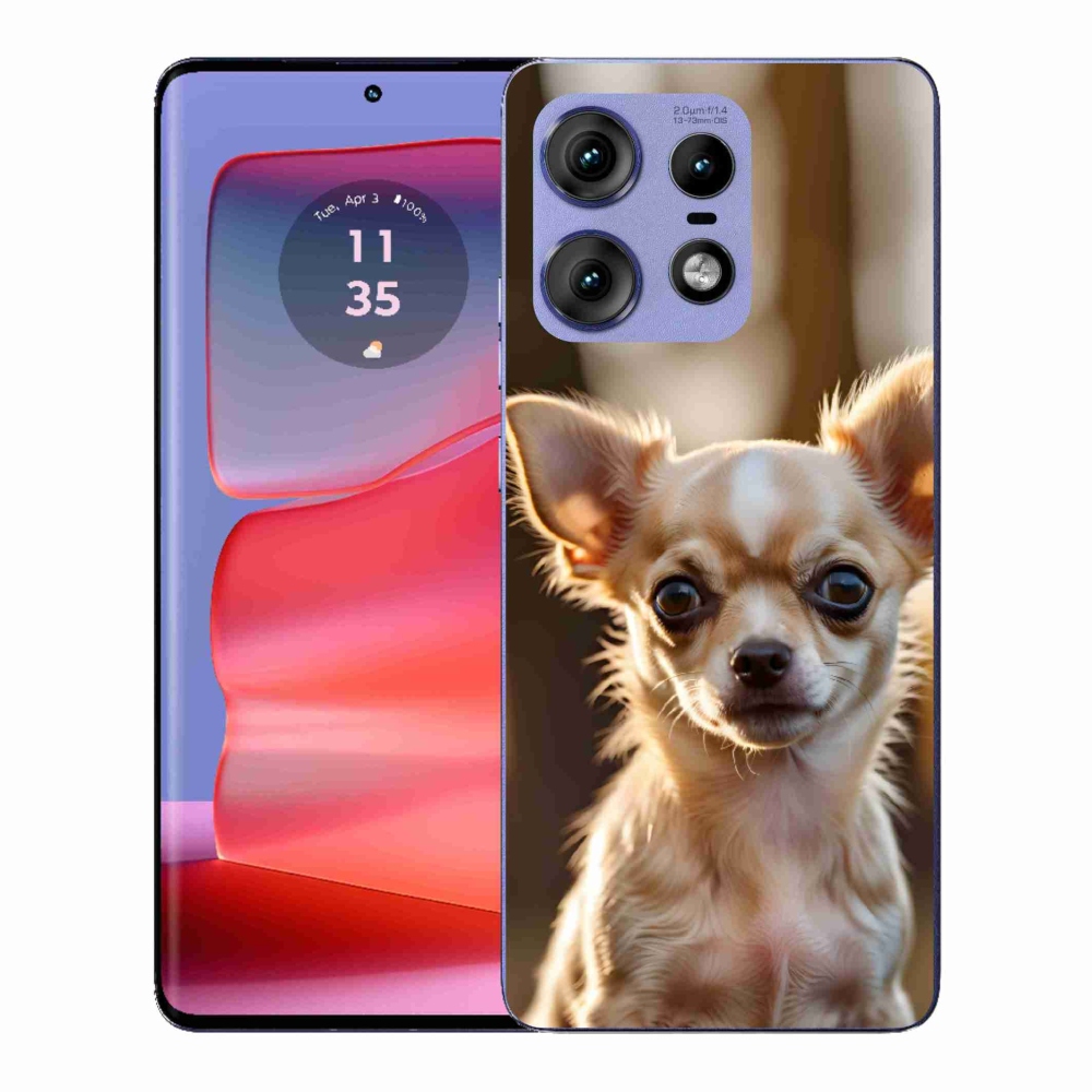 Gelový kryt mmCase na Motorola Edge 50 Pro - čivava 6