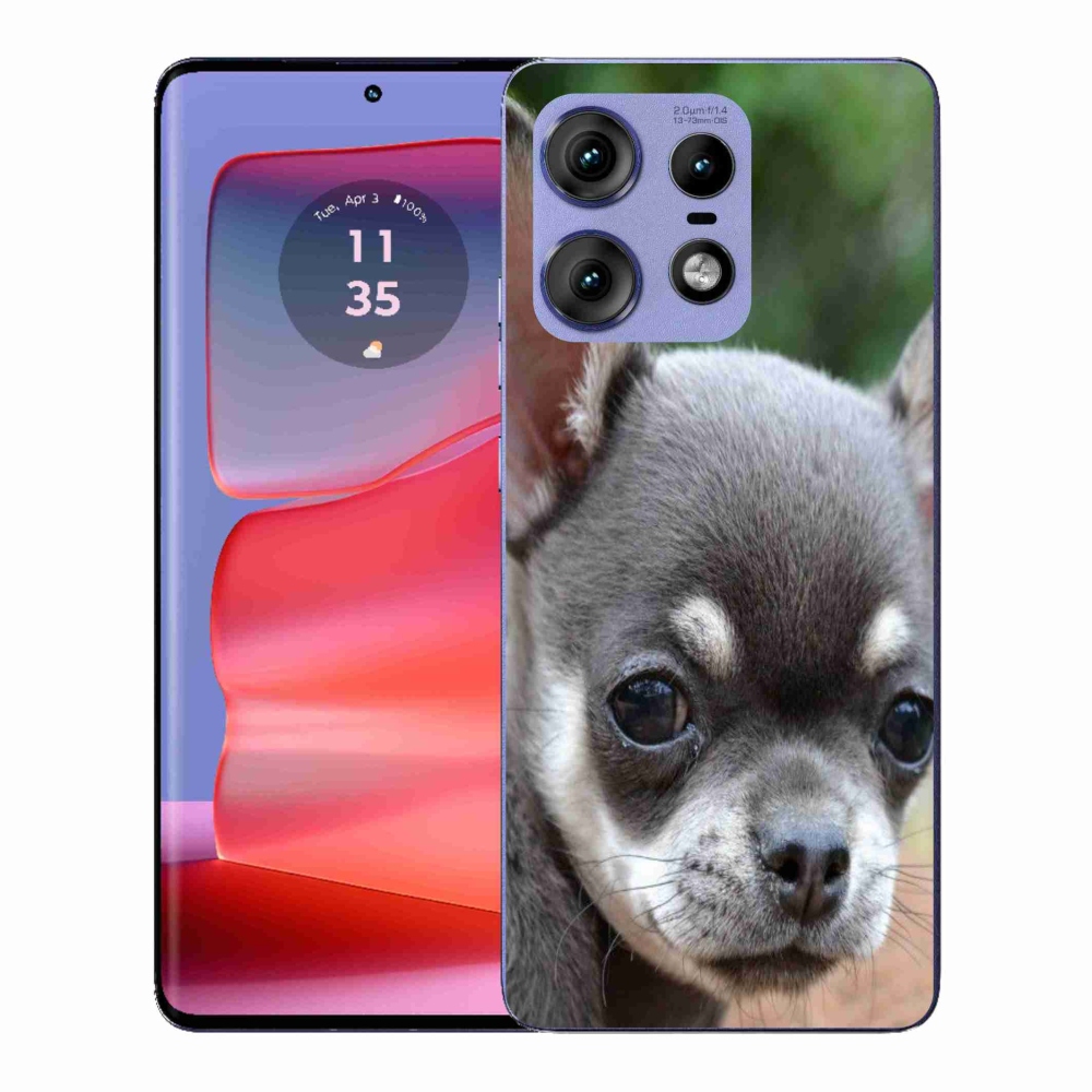Gelový kryt mmCase na Motorola Edge 50 Pro - čivava
