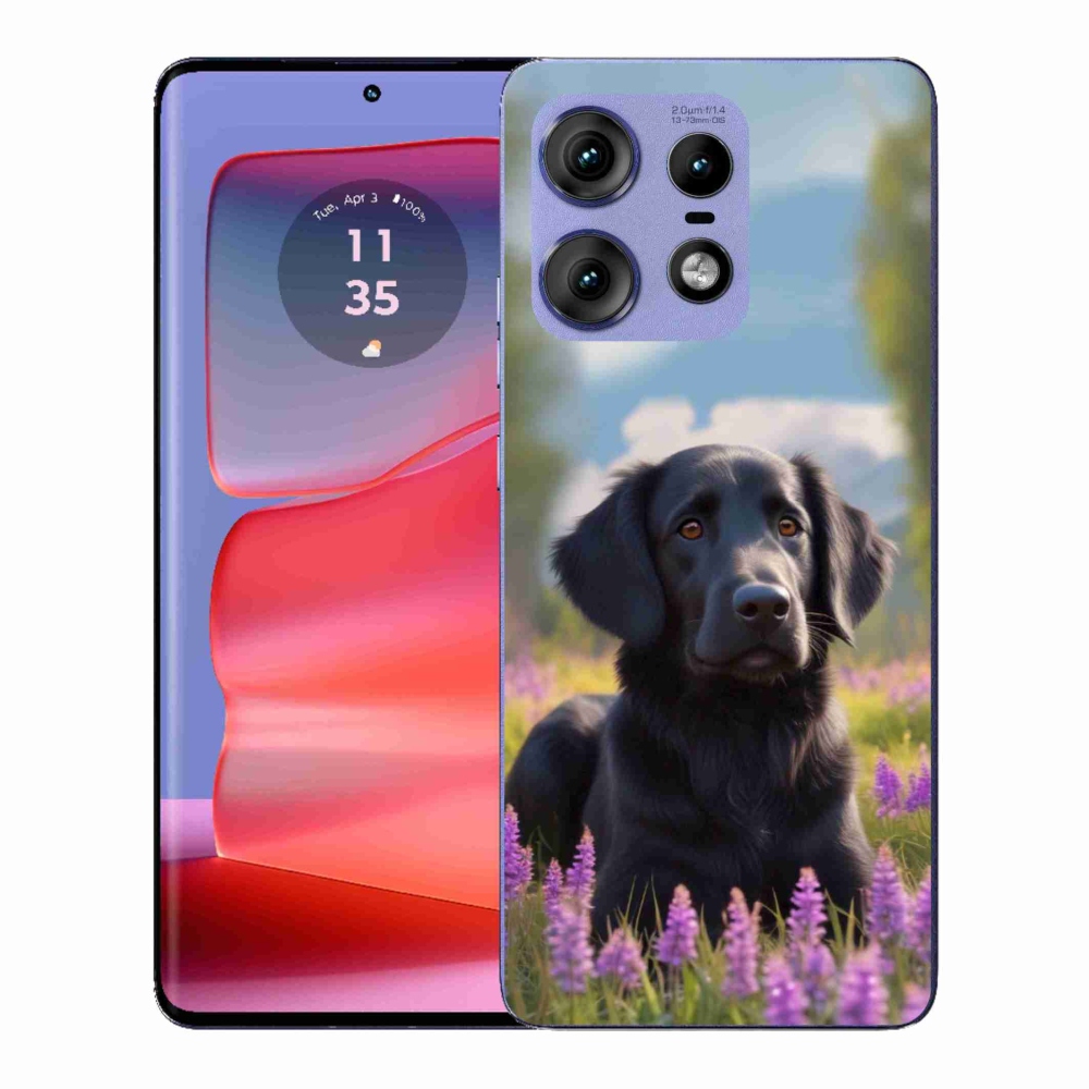 Gelový kryt mmCase na Motorola Edge 50 Pro - elegantní černý retrívr