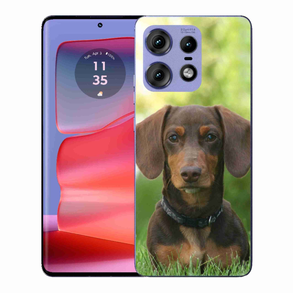 Gelový kryt mmCase na Motorola Edge 50 Pro - hnědý jezevčík