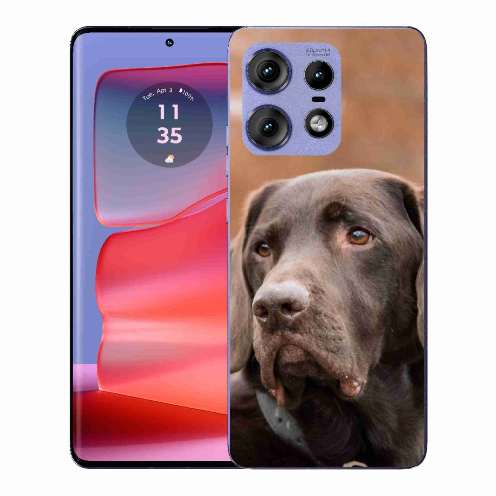 Gelový kryt mmCase na Motorola Edge 50 Pro - hnědý labrador