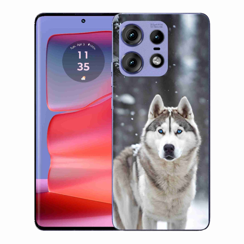 Gelový kryt mmCase na Motorola Edge 50 Pro - husky 2