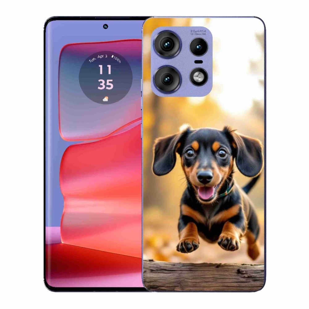 Gelový kryt mmCase na Motorola Edge 50 Pro - jezevčík 2