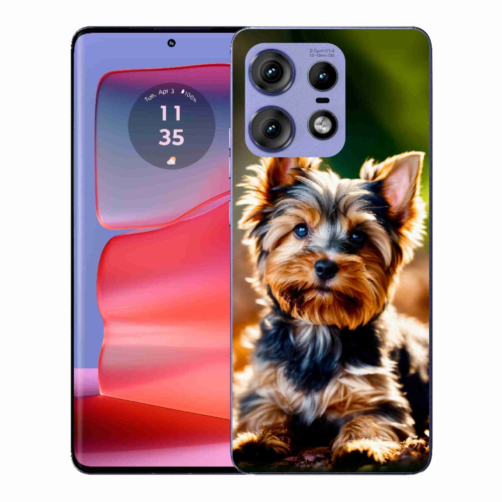Gelový kryt mmCase na Motorola Edge 50 Pro - jorkšír 10