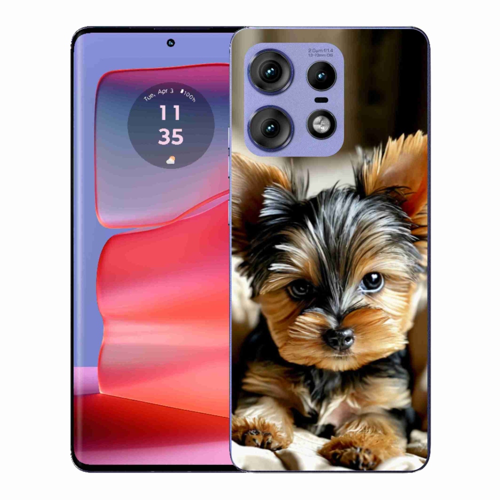 Gelový kryt mmCase na Motorola Edge 50 Pro - jorkšír 11
