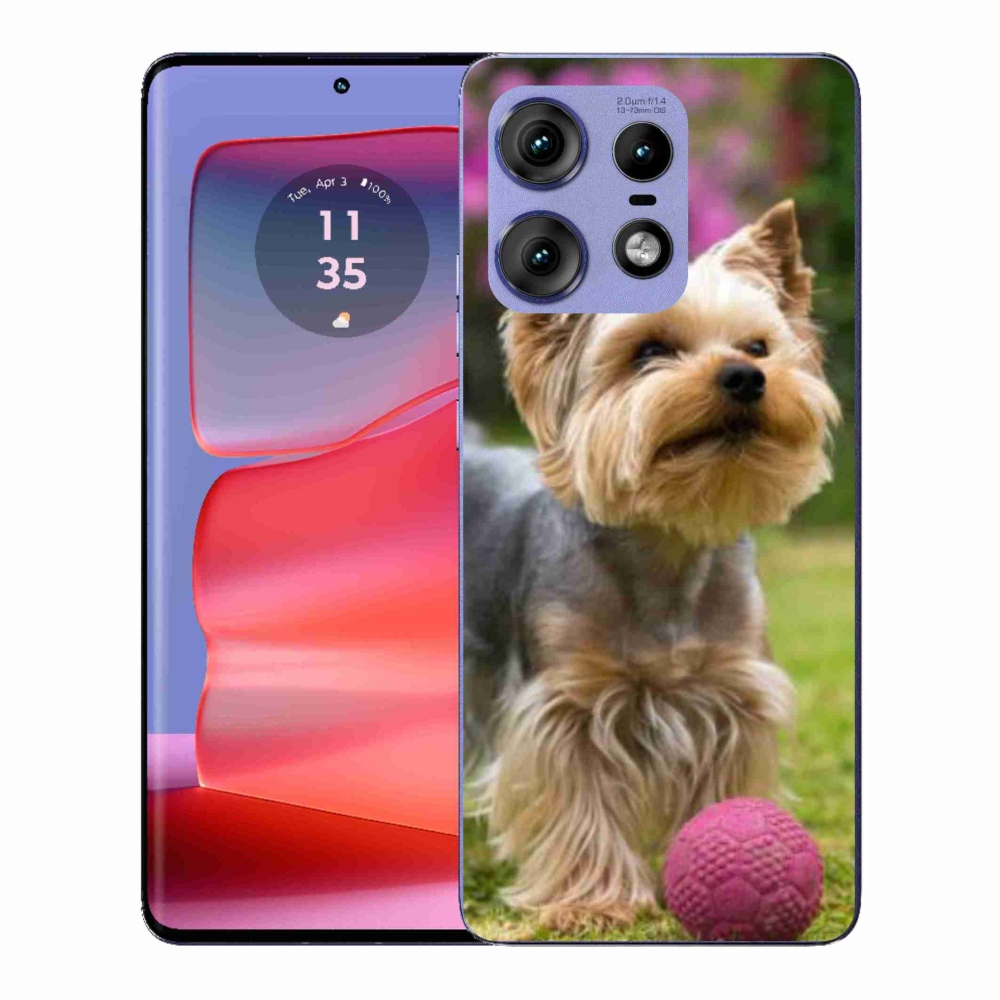 Gelový kryt mmCase na Motorola Edge 50 Pro - jorkšír 4