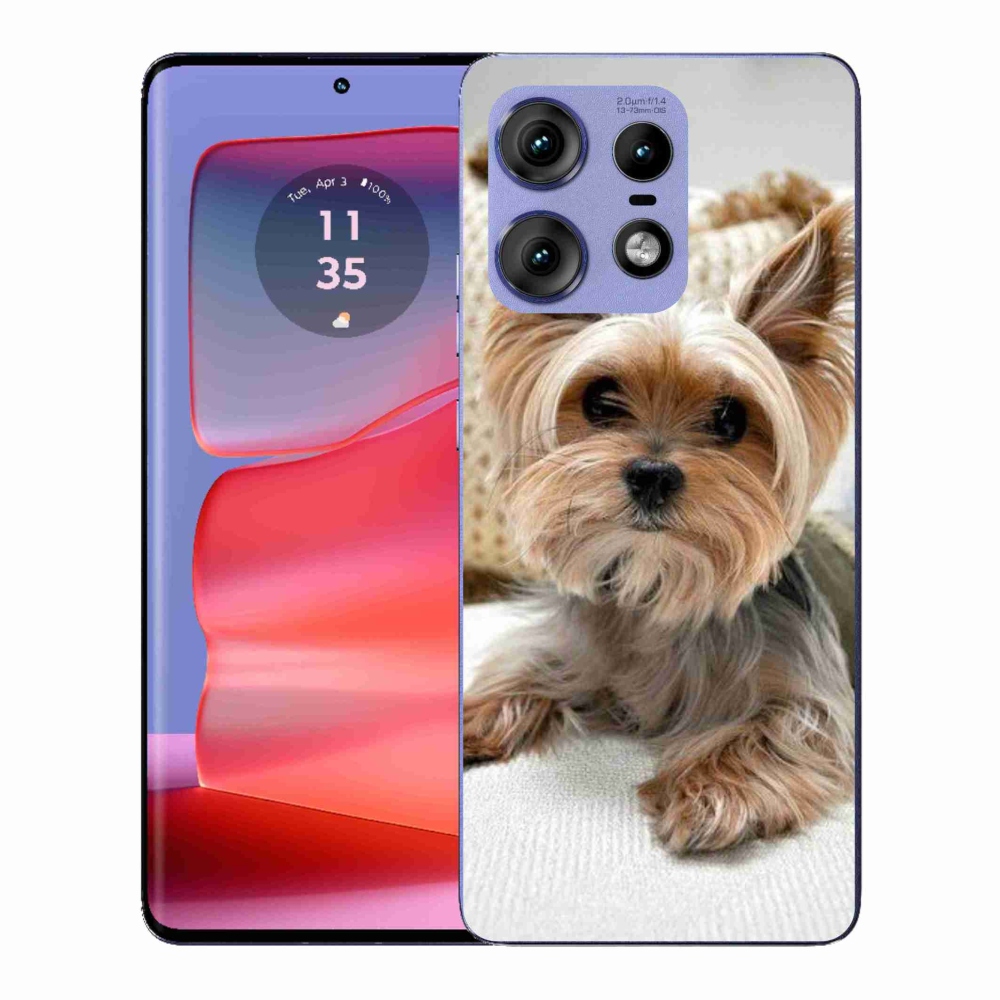 Gelový kryt mmCase na Motorola Edge 50 Pro - jorkšír 5