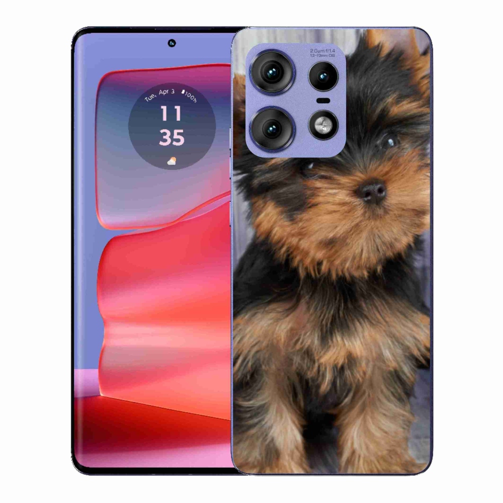 Gelový kryt mmCase na Motorola Edge 50 Pro - jorkšír 9