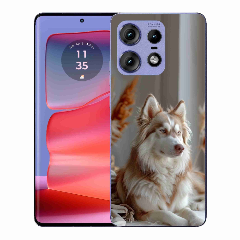 Gelový kryt mmCase na Motorola Edge 50 Pro - klidný sibiřský husky