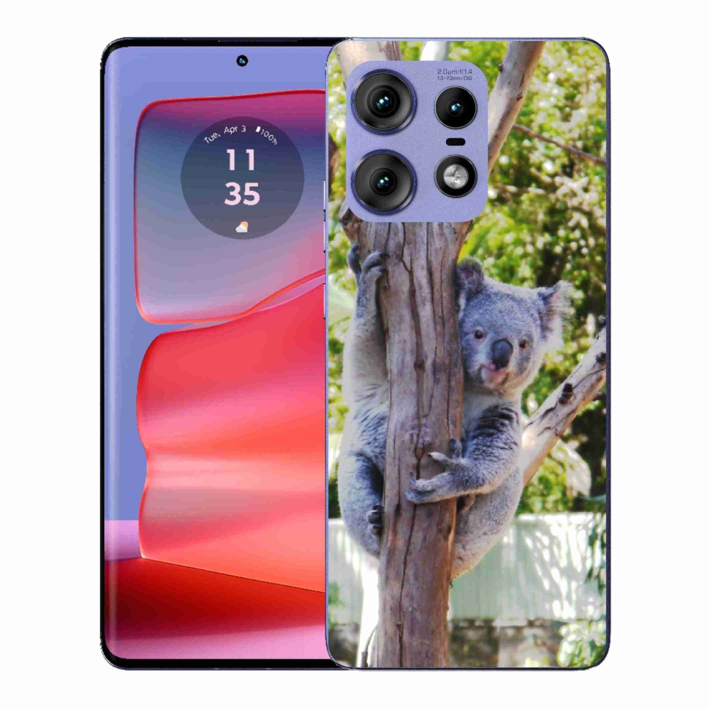 Gelový kryt mmCase na Motorola Edge 50 Pro - koala