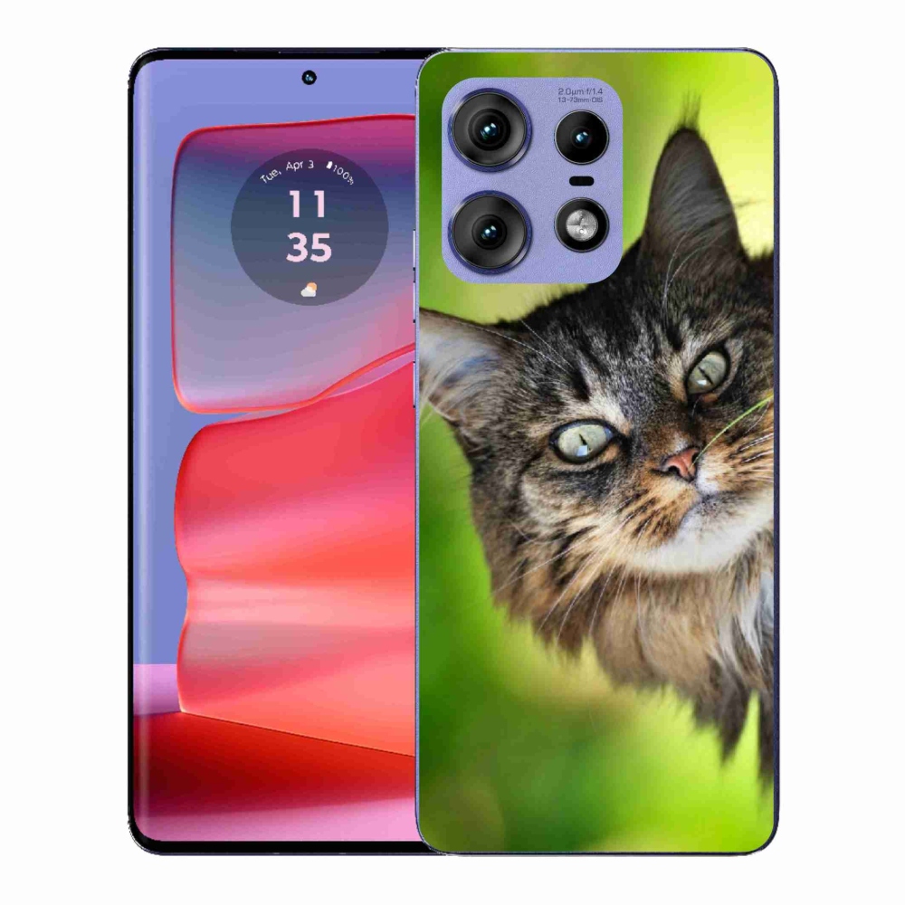 Gelový kryt mmCase na Motorola Edge 50 Pro - kočka 3