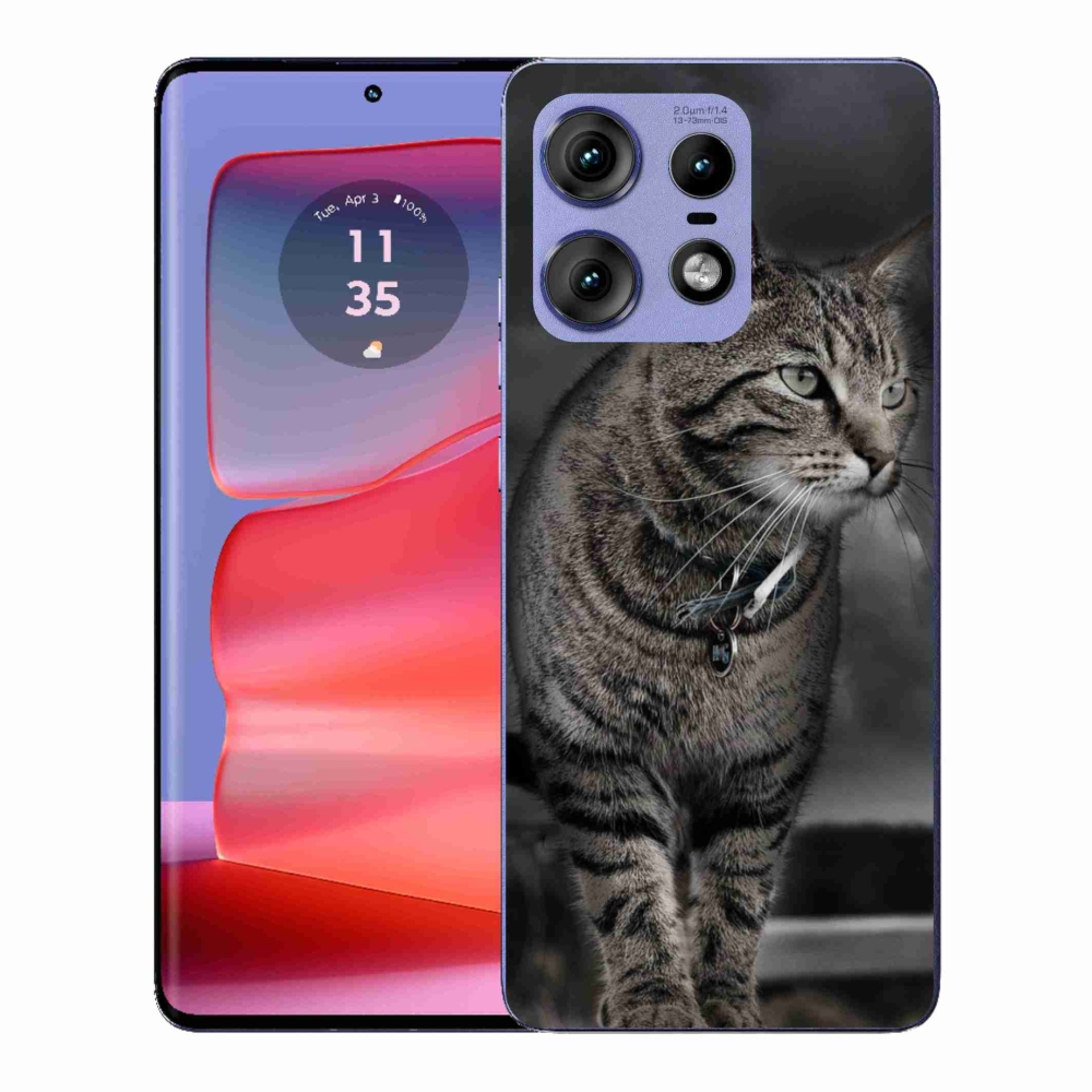 Gelový kryt mmCase na Motorola Edge 50 Pro - kočka