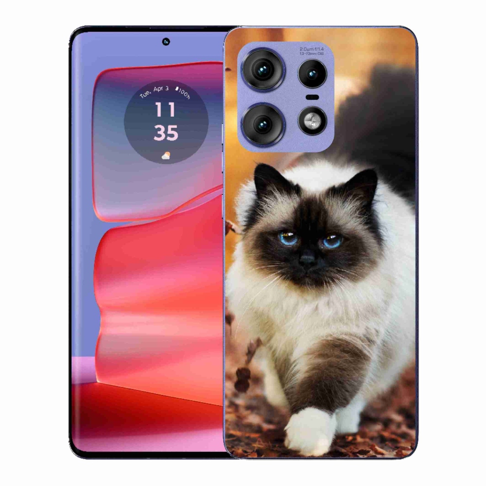 Gelový kryt mmCase na Motorola Edge 50 Pro - kočka