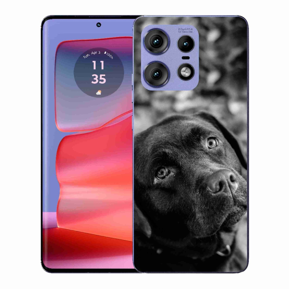 Gelový kryt mmCase na Motorola Edge 50 Pro - labrador