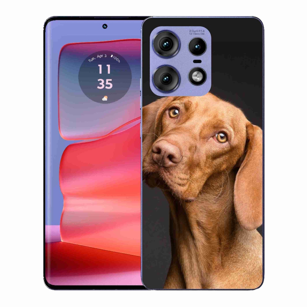Gelový kryt mmCase na Motorola Edge 50 Pro - maďarský ohař