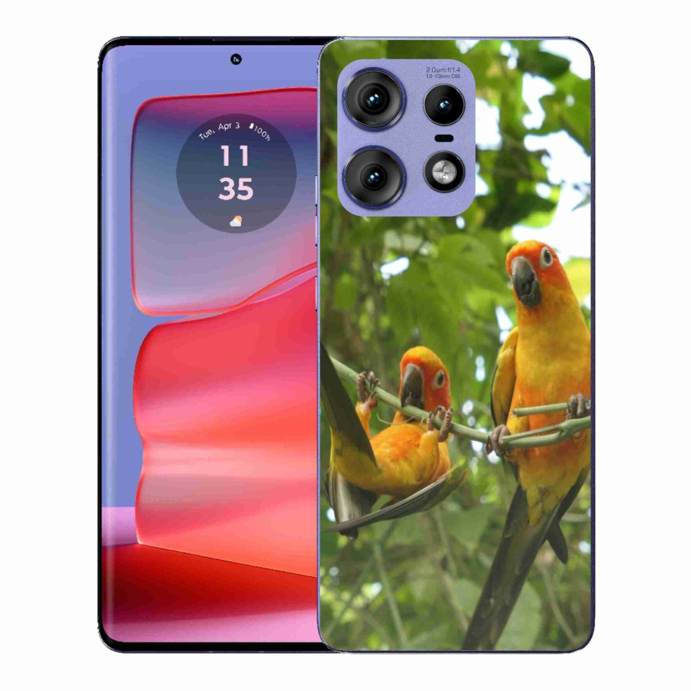 Gelový kryt mmCase na Motorola Edge 50 Pro - papoušci aratingy
