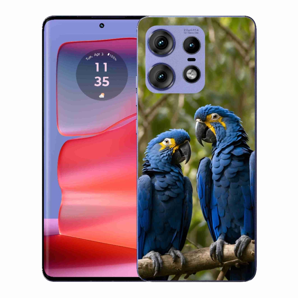 Gelový kryt mmCase na Motorola Edge 50 Pro - papouščí duo