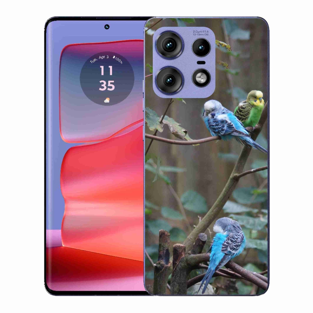 Gelový kryt mmCase na Motorola Edge 50 Pro - papoušci na větvi