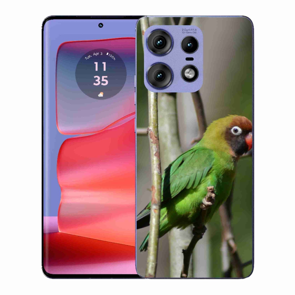 Gelový kryt mmCase na Motorola Edge 50 Pro - papoušek agapornis