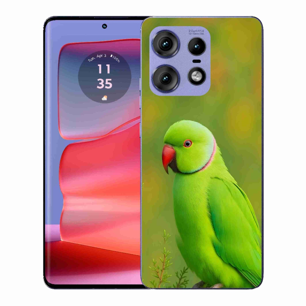 Gelový kryt mmCase na Motorola Edge 50 Pro - papoušek alexandr 2