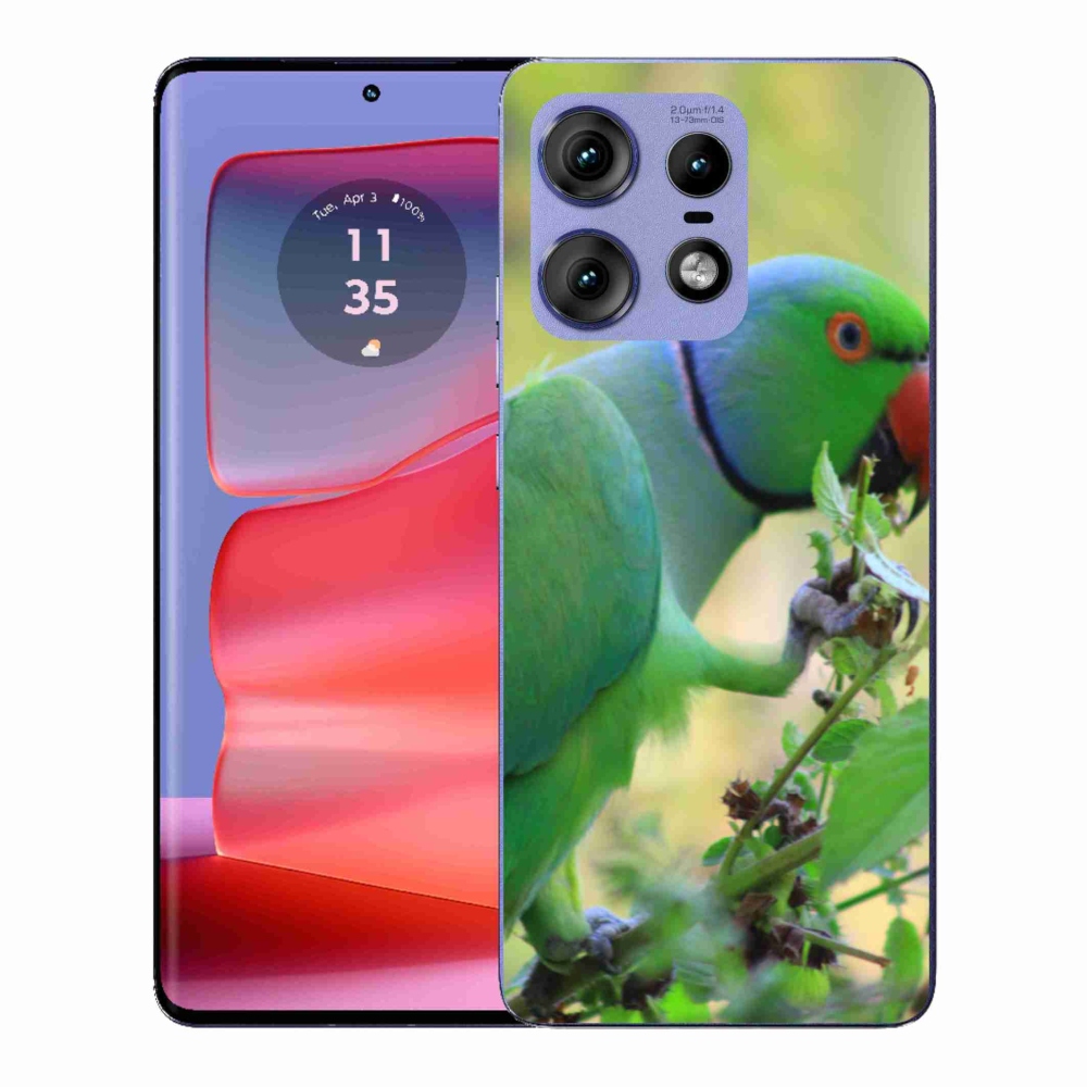 Gelový kryt mmCase na Motorola Edge 50 Pro - papoušek alexandr