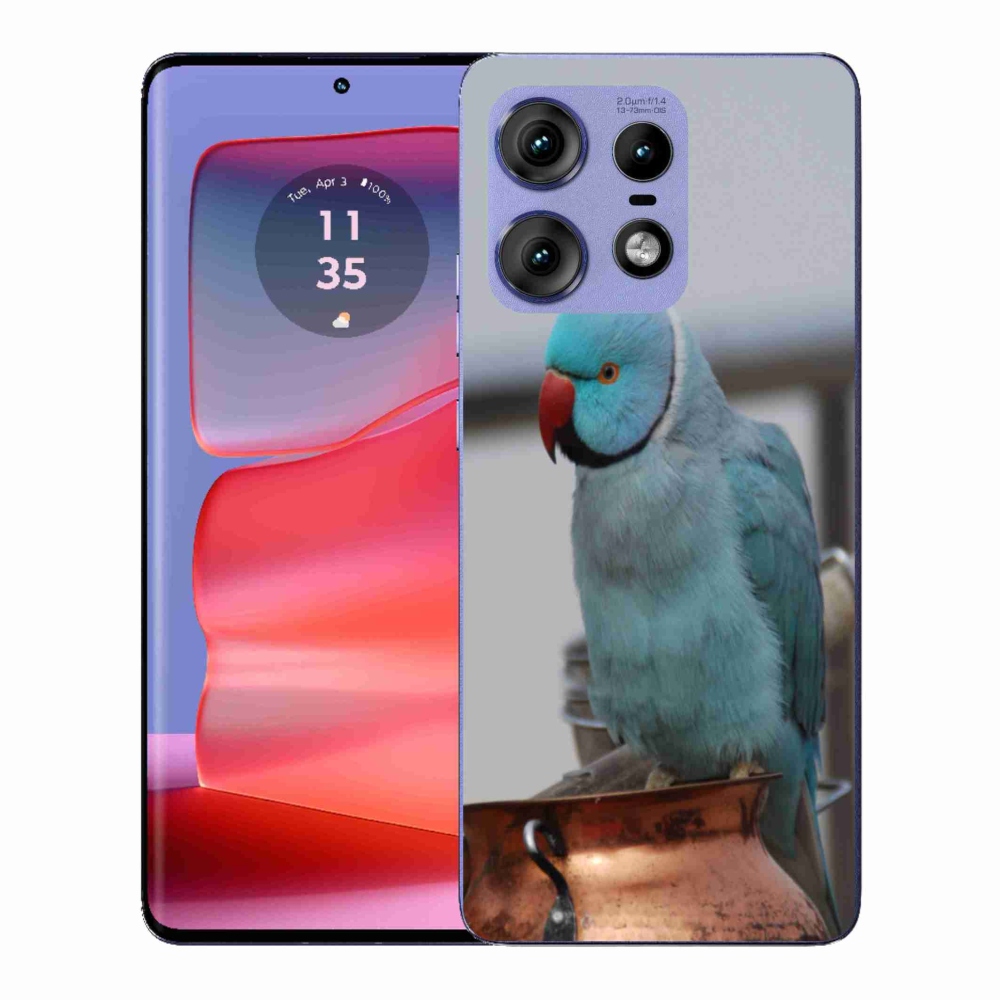 Gelový kryt mmCase na Motorola Edge 50 Pro - papoušek alexandr modrý