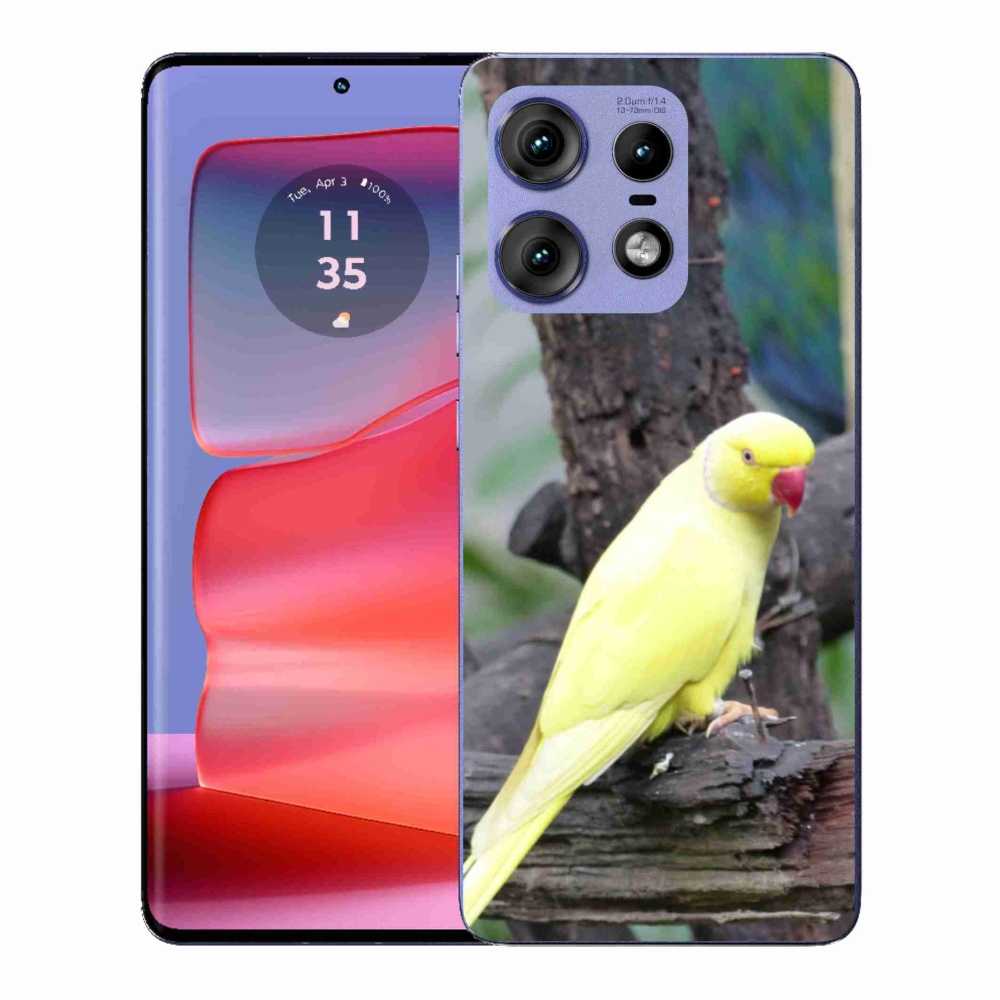 Gelový kryt mmCase na Motorola Edge 50 Pro - papoušek alexandr žlutý