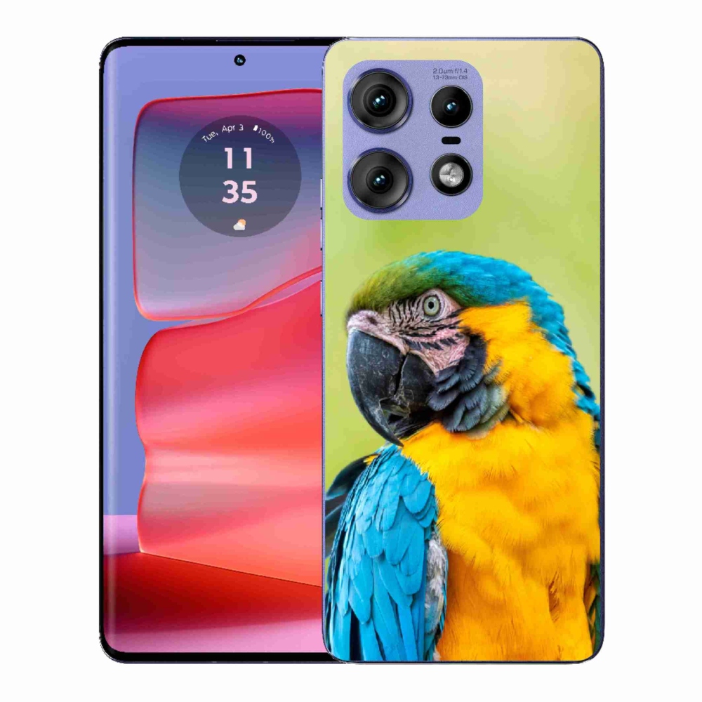 Gelový kryt mmCase na Motorola Edge 50 Pro - papoušek ara 2