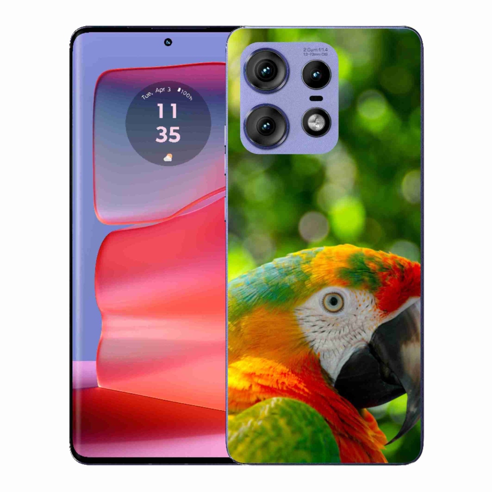 Gelový kryt mmCase na Motorola Edge 50 Pro - papoušek ara 3