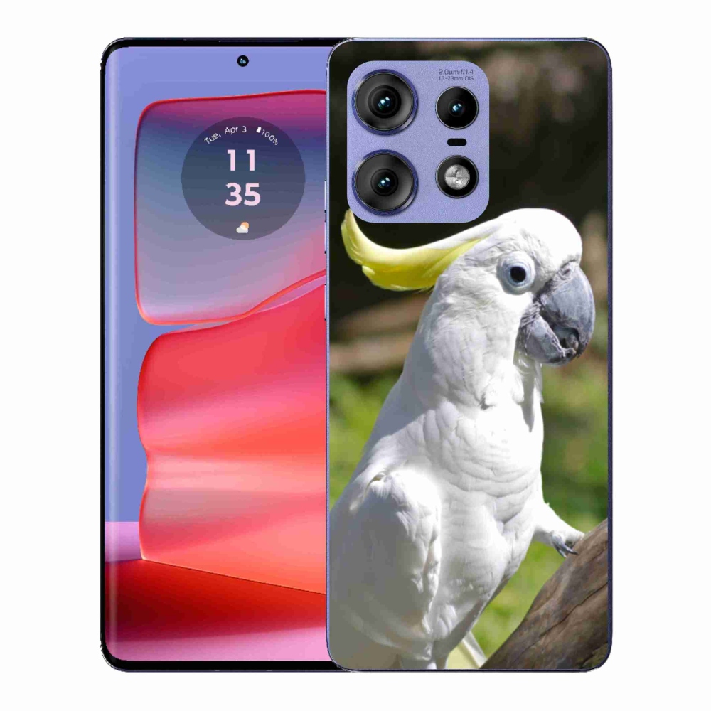 Gelový kryt mmCase na Motorola Edge 50 Pro - papoušek kakadu 2