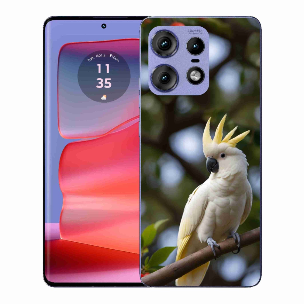 Gelový kryt mmCase na Motorola Edge 50 Pro - papoušek kakadu 3