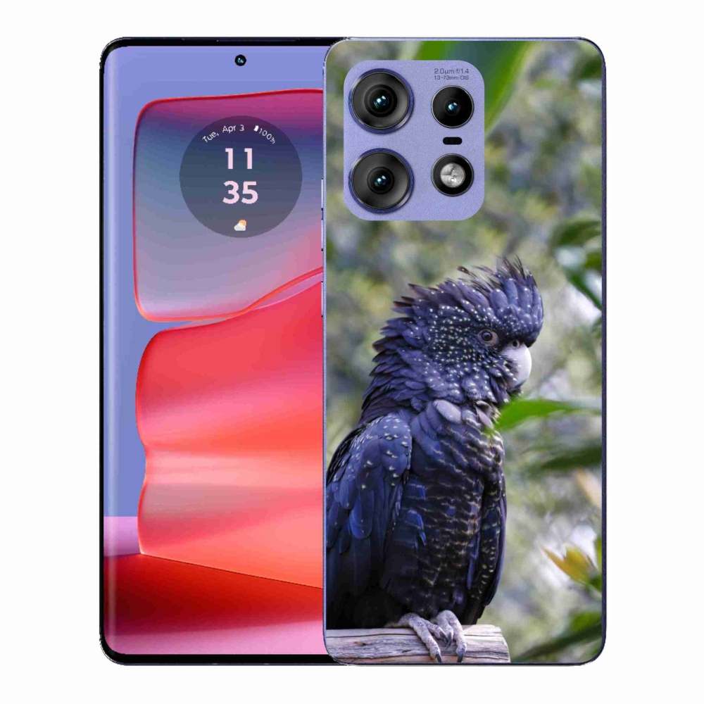 Gelový kryt mmCase na Motorola Edge 50 Pro - papoušek kakadu černý