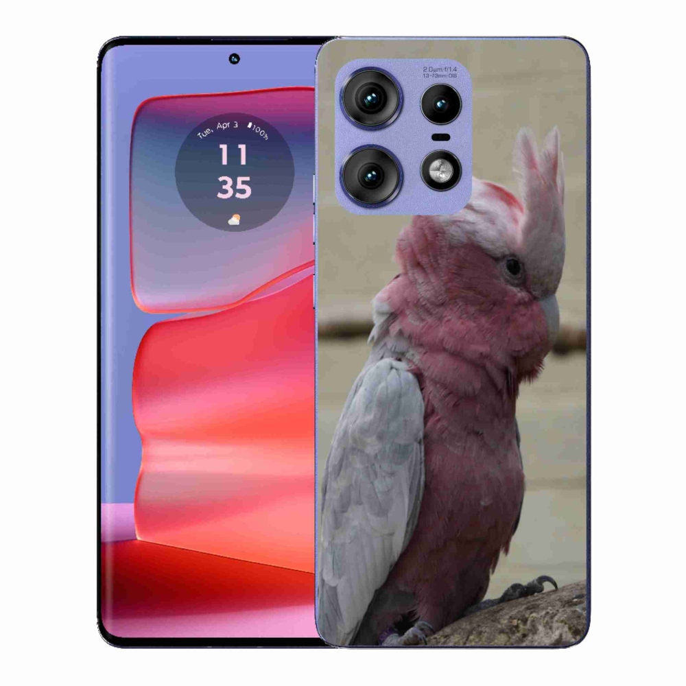 Gelový kryt mmCase na Motorola Edge 50 Pro - papoušek kakadu růžový