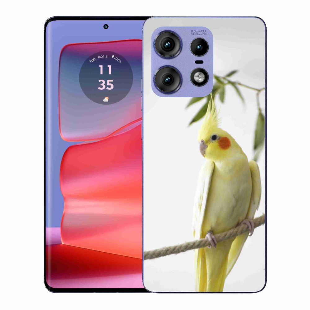 Gelový kryt mmCase na Motorola Edge 50 Pro - papoušek korela chocholatá