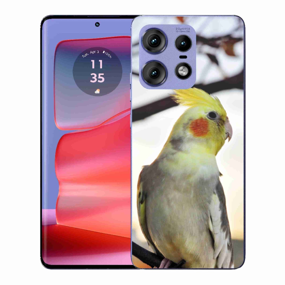 Gelový kryt mmCase na Motorola Edge 50 Pro - papoušek korela