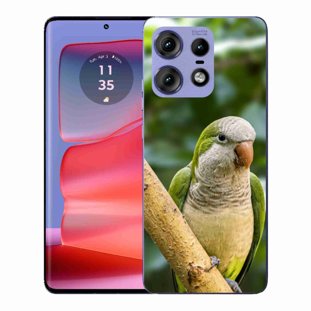 Gelový kryt mmCase na Motorola Edge 50 Pro - papoušek mníšek