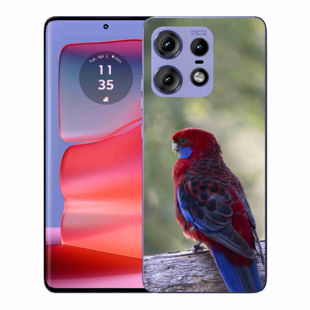 Gelový kryt mmCase na Motorola Edge 50 Pro - papoušek rosela