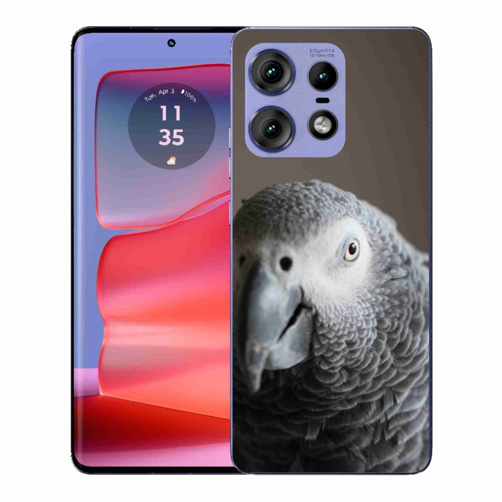 Gelový kryt mmCase na Motorola Edge 50 Pro - papoušek žako 2
