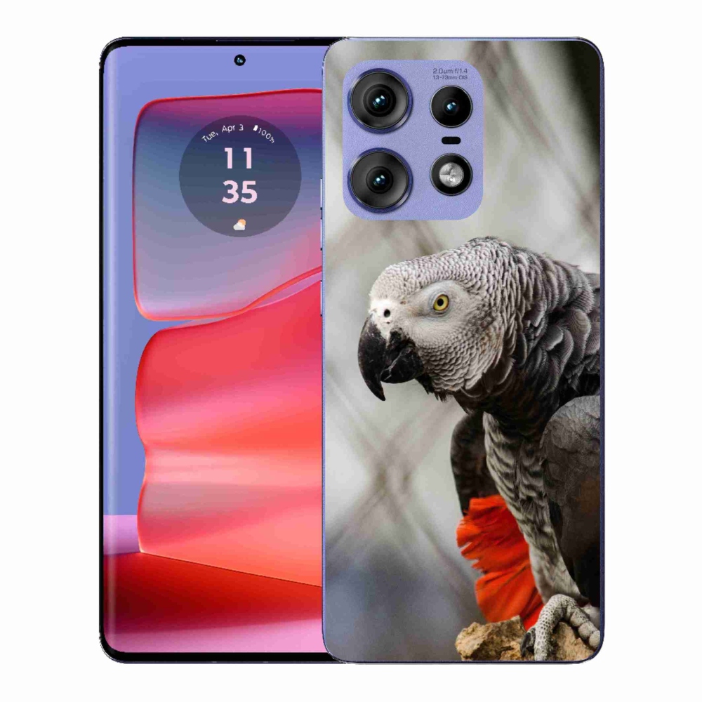 Gelový kryt mmCase na Motorola Edge 50 Pro - papoušek žako 3