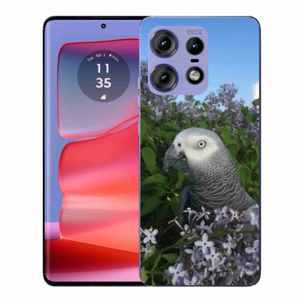 Gelový kryt mmCase na Motorola Edge 50 Pro - papoušek žako
